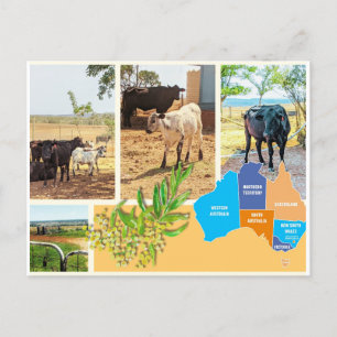 De Festividades Cartão postal Austrália