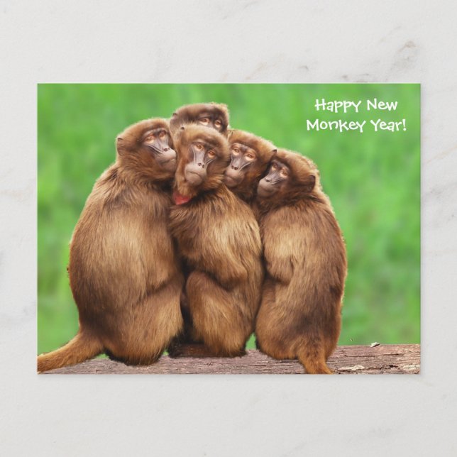 De Festividades Cartão Postal Do Macaco-Fogo (Frente)