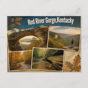 De Festividades Cartão postal do Red River Gorge, Kentucky