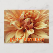 Cartão postal Sunny Dahlia/Feliz Aniversário