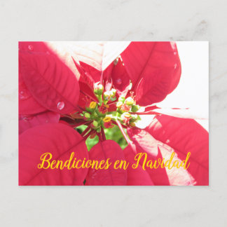 De Festividades Cartão postal Xmas 003 - Espanhol - Cartão postal