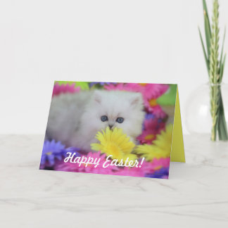 De Festividades Cartão precioso da páscoa dos gatinhos