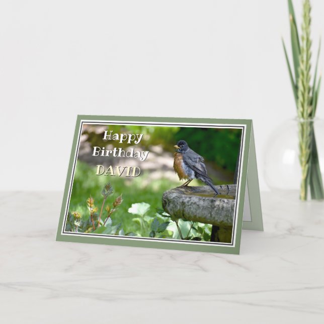De Festividades Cartão Robin Birthday Engraçado (Frente)