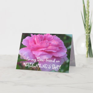 De Festividades Cartão Rosa Rosa Rosa Rosa Rosa Amizade