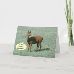 De Festividades Cartão - Saudação - Saudações Alpaca