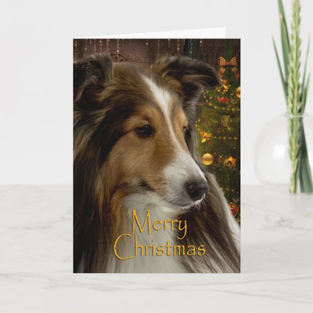 De Festividades Cartão Sheltie Holiday (Frente)