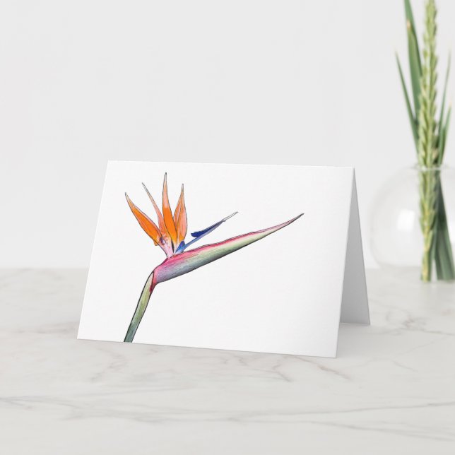 De Festividades Cartão Strelitzia (Frente)
