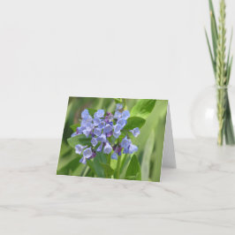 De Festividades Cartão Virginia bluebell (Mertensia virginica)