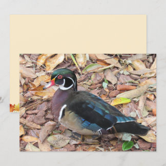 De Festividades Cartão Wood Duck Flat