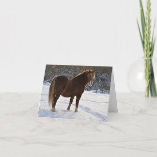 De Festividades Cavalo no cartão do Xmas da neve