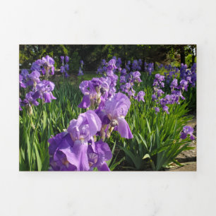 De Festividades Com Dobra Tripla Cartão Bruto e Batelado