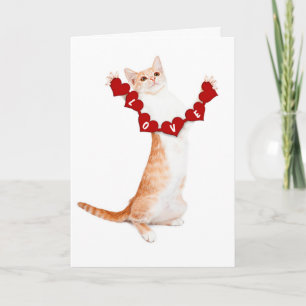 De Festividades Eu Amo-Te Este Muito Cartão Com O Kitten