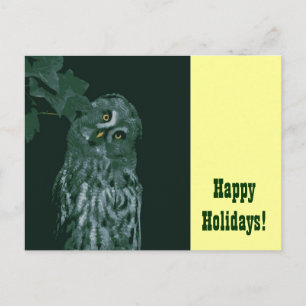 De Festividades Félicias Festivas! Cartão postal