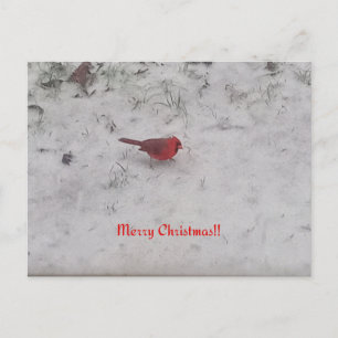 De Festividades Feliz Natal! Cartão Postal