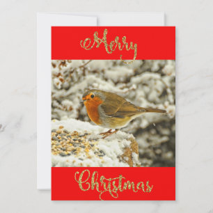 De Festividades Feliz Natal Robin no Cartão com fotos da Neve