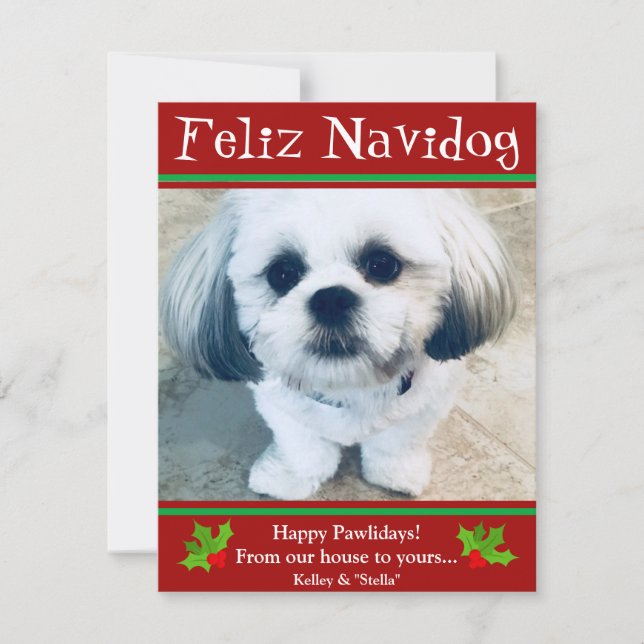 De Festividades Feliz Navidog Cachorro Cartão com fotos Engraçado (Frente)
