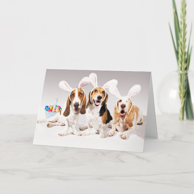 De Festividades Felz pascoa! Cartão (Frente)