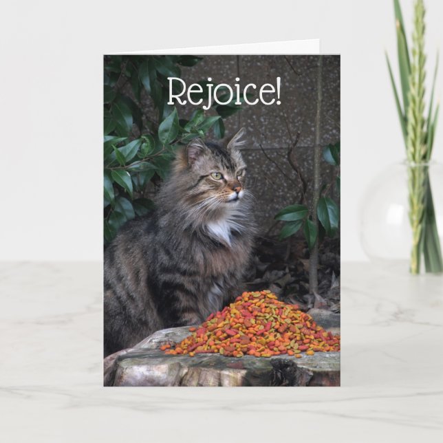 De Festividades Gato com um cartão do milagre da páscoa (Frente)