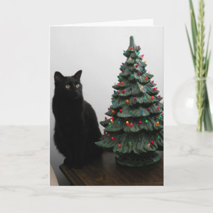 De Festividades Gato do Natal com cartão da árvore