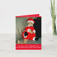 Gato Engraçado em Papais noeis - Cartão Cristma