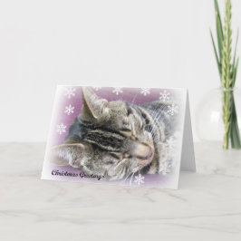 De Festividades Natal que sonha o cartão