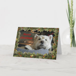 De Festividades Natal Westie com o cartão da foto da festão