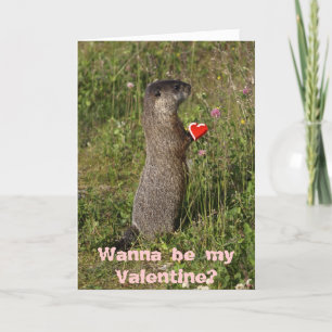 De Festividades O cartão dos namorados da marmota