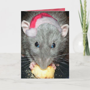 De Festividades Papais noeis Cartão Dumbo rato