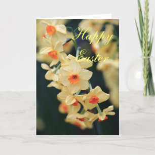 De Festividades Páscoa Cartão Daffodil
