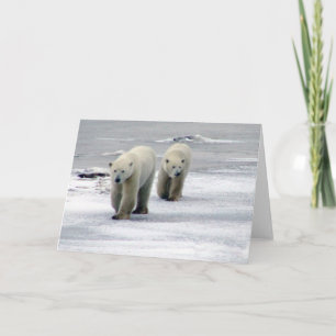 De Festividades Polar Bear Mãe e Cartão