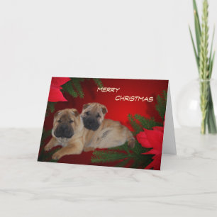 De Festividades Shar Pei Puppies Cartão Poinsettia