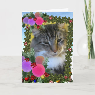 De Festividades "Soldado coração do gato" ao cartão do coração