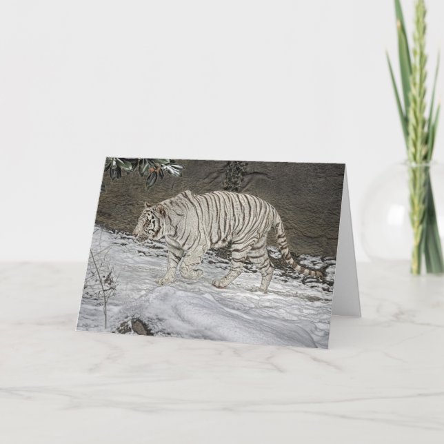 De Festividades Tigre branco que desengaça no cartão do feriado da (Frente)