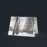 De Festividades Trajeto e árvores no cartão da paisagem da neve<br><div class="desc">Trajeto e árvores em um cartão da paisagem da neve. Uma paisagem rural coberto de neve com trajeto,  árvores e neve lasca-se caindo.</div>