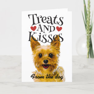 De Festividades Tratamentos e beijos do cartão do Dia dos Namorado