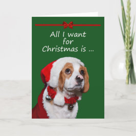 De Festividades Tudo que eu quero para o cartão do Natal