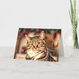 De Festividades Um alegre pouco cartão do gatinho do Natal