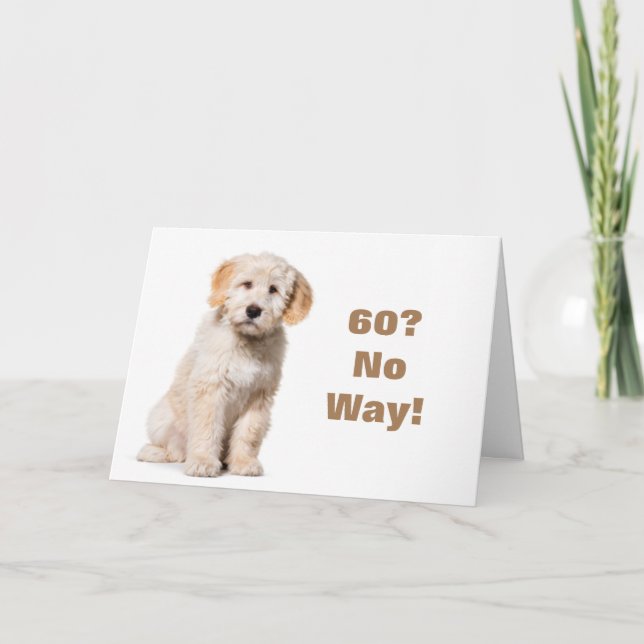 DE FORMA ALGUMA VOCÊ NÃO PODE SER **60** CARTÃO (Frente)