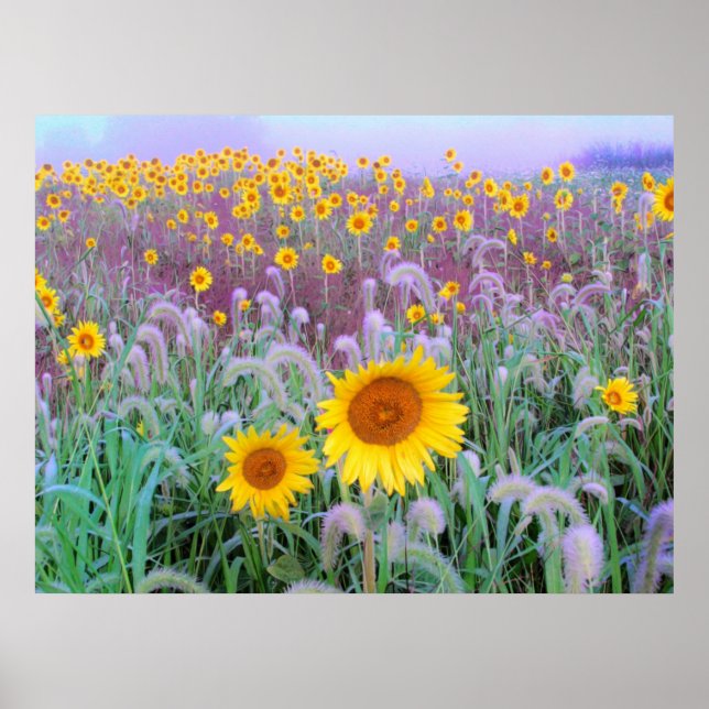 De manhã, impressão (Frente)