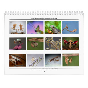 De Mantidforum calendário 2016 de parede de alta
