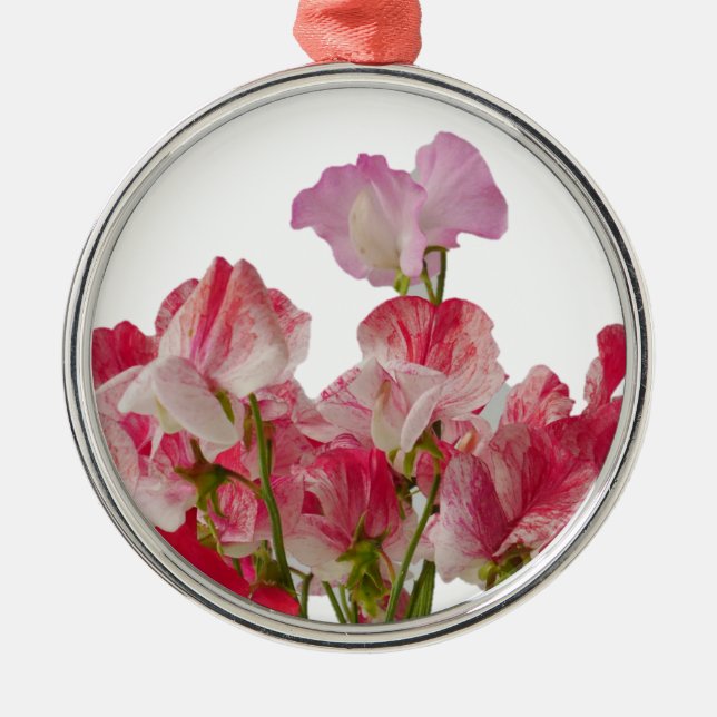 De Metal A ervilha doce floresce o ornamento (Frente)