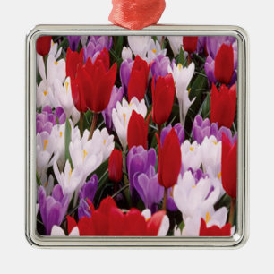 De Metal A tulipa colorida floresce o ornamento