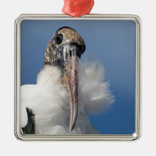 De Metal Elvis - Wood Stork - Ornamento Premium