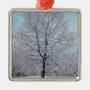 De Metal O ornamento do carvalho do inverno