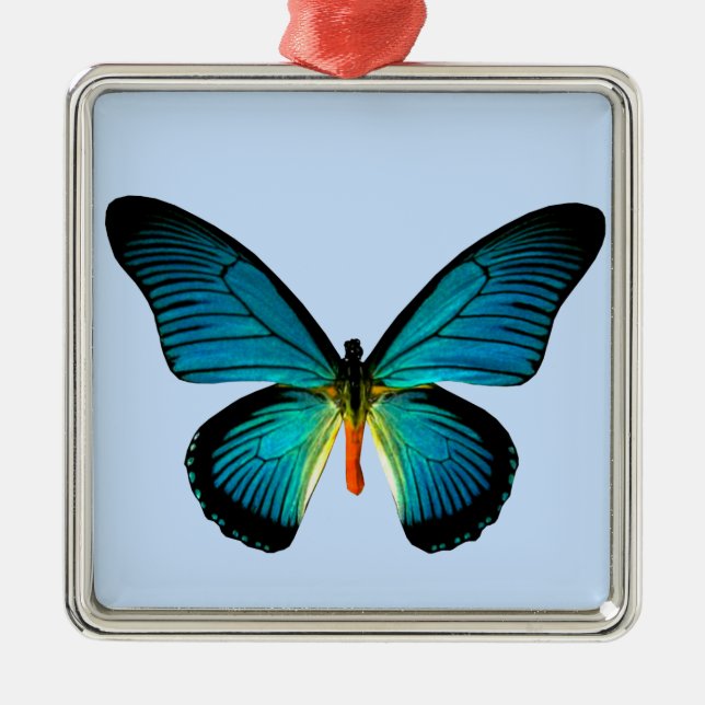 De Metal Ornamento ao quadrado da borboleta azul (Frente)