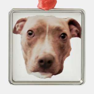 De Metal ornamento BRINDLE PIT BULL