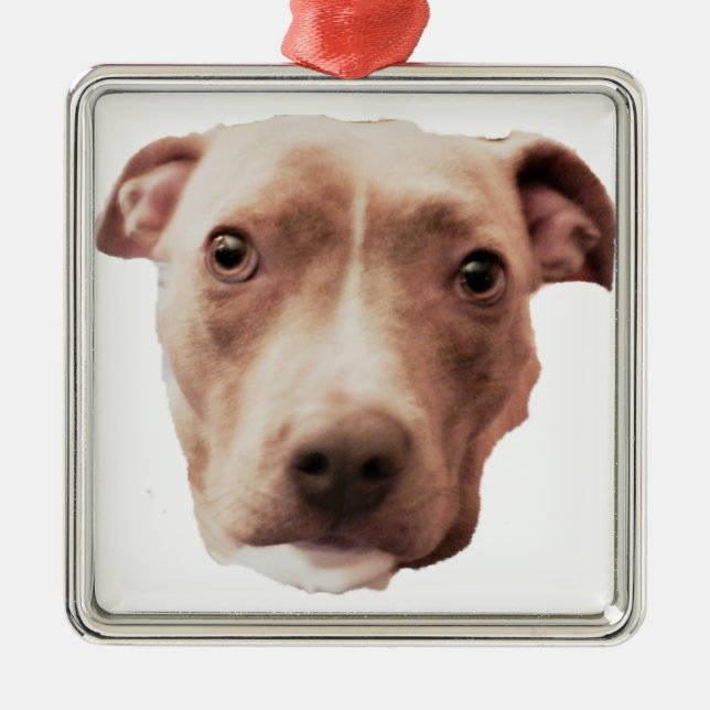 De Metal ornamento BRINDLE PIT BULL (Frente)