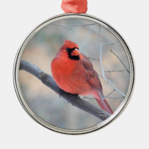 De Metal Ornamento cardinal do costume da angra