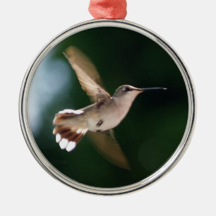 De Metal Ornamento do amante do colibri