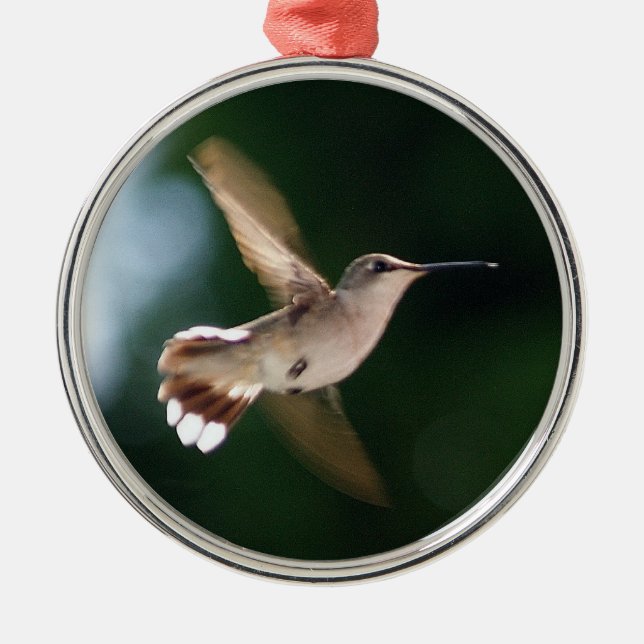 De Metal Ornamento do amante do colibri (Frente)
